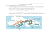 Augusta County Public Schools / Overview · Web viewDefine sea floor spreading and explain how it could be responsible for continental drift. Seafloor spreading is a process that