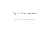 Signal Transductionpre-med.jumedicine.com/.../2019/01/Signal_Transduction-2.pdfSignal Transduction Ebaa Alzayadneh, PhD 2 University of Jordan Prohormones and Prehormones •Prohormone:
