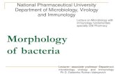 Lecture on Microbiology with immunology fundamentals specialty 226 Pharmacy Morphology ... · 2018. 10. 19. · 1.Definition of bacteria 2.Cell organization of bacteria 3.Differences