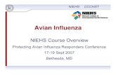 Avian Influenza People and Birds · 2020. 7. 15. · Seasonal influenza. viruses ... trade, market losses, or export barriers • Income losses for producers, food processors, and