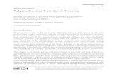 Polysaccharides from Larch Biomass - IntechOpen · 2012. 10. 28. · Larch wood is distinctive for its high content of water soluble polysaccharide arabinogalactan, reaching up to