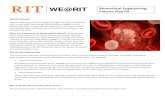 Biomedical Engineering: Plasma Play Pit · 2020. 2. 12. · plasma and platelets back into the donors’ bloodstream while collecting a second unit of blood. ... red water beads,