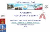 Anatomy: Respiratory Systemhome.sums.ac.ir/.../03/Ana5-Respiratory-Dr.Moradian-1393.pdf · 2015. 3. 12. · Anatomy: Respiratory System Moradian MD, MPH, PhD candidate Tehran University