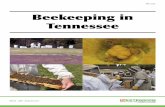 Beekeeping in Tennesseehoneybees.farm/pdf/PB1745.pdf · 7 Figure 1. Beemaster classroom instruction. Figure 2. Beemaster field training. University of Tennessee Master Beekeeper Program