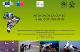 AGENDA DE LA COP11 y sus DOCUMENTOS … · 16.1 Assessment of Res. 10.9 16.2 Further Implementation of FS Process during 2015-2017 16.2 Proposal to improve efficiency and effectiveness
