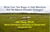 Jim Tang, Ph.D. · IPCC, 2001 IPCC, 2001 60 Pg 4 55 5.4 88 120 90 Global carbon cycling ? 2.4 Unit: Billion ton