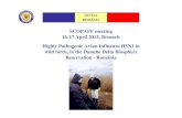 SCOPAFF meeting Highly Pathogenic Avian Influenza H5N1 in ......2015/04/16  · Date of suspicion and sampling : 25 March 2015,DDRB+SVFSD Tulcea Date of first testing: 26 March 2015,