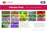 Pollinator Plants...Gardening made simple: Garden Info Sheet UPlantIt Pollinator Plants - Full to Part Sun Garden 1. Autumn Sage ‘Furman’s Red’ (1) 2. Flame Acanthus (1) 3. Red