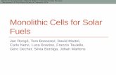 Monolithic Cells for Solar Fuels · 2014. 2. 13. · Monolithic Cells for Solar Fuels Jan Rongé, Tom Bosserez, David Martel, Carlo Nervi, Luca Boarino, Francis Taulelle, Gero Decher,