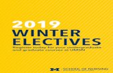 2019 WINTER ELECTIVES · 2018. 11. 15. · Michelle Munro-Kramer’s program of research focuses on trauma, ... pre-exposure prophylaxis (PrEP), at the provider, ... methods in health