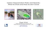 Carbon Sequestration Risks and Hazards: What we know and ...csub.edu/~dbaron/Aines.pdf · Current knowledge strongly supports carbon sequestration as a successful technology to dramatically