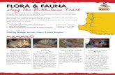 Fact Sheet 1 v3 24/7/15 3:50 PM Page 1 FLORA & FAUNA · 2018. 8. 10. · FLORA & FAUNA Fact Sheet 1 v3 24/7/15 3:50 PM Page 1. Red-tailed Black Cockatoo Calyptorhynchus banksii This