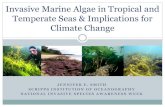 Invasive Marine Algae in Tropical and Temperate Seas & … · 2015. 7. 30. · Invasive Seaweed Impacts ... Williams and Smith (2007) Annual Review of Ecology, Evolution & Systematics.