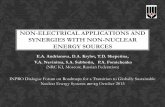 NON-ELECTRICAL APPLICATIONS AND SYNERGIES ......Framework Development (principal from Russian side – N.N. Ponomarev-Stepnoi) and continued in frame of activity devoted to Maintenance