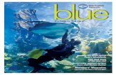 live blue - New England Aquarium...Aquarium Lecture Series, World Oceans Day and IMAX movies 10 12 @neaq.org Dive into a sea of resources online. The website is full of conservation