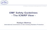 EMF Safety Guidelines - The ICNIRP View · 2013. 5. 3. · Rüdiger Matthes Maria Feychting Kari Jokela Sekretariat Gunde Ziegelberger Karine Chabrel Chairperson Vice Chairperson