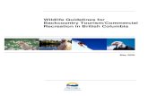 Wildlife Guidelines for Recreation draft4...Wildlife Guidelines for Backcountry Tourism/Commercial Recreation in British Columbia May 2006 i Acknowledgments We would like to thank