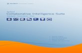 Salient Collaborative Intelligence Suite...4 Salient Collaborative Intelligence Suite CIS captures the whole story of value creation— activity, profit and loss, quality, growth and