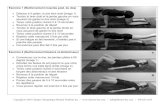 Exercice 1 (Renforcement muscles post. du dos)...Exercice 1 (Renforcement muscles post. du dos) • Débutez à 4 pattes, le dos bien droit (image 1) • Tendez le bras droit et la