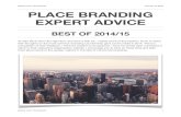 Advice From The Experts January 12, 2015 PLACE BRANDING stren 2015. 1. 26.آ  PLACE BRANDING EXPERT ADVICE