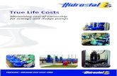 costs the true - Hidrostal€¦ · HIDROSTAL .. minimising the cost of pump ownership... Life Cycle Costing [LCC] analysis is a method of determining the total cost of ownership of