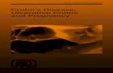 Crohn’s Disease, Ulcerative Colitis and Pregnancy - Dr. Falk ...2007/09/05  · 9th edition 2007 Crohn’s Disease, Ulcerative Colitis and Pregnancy Author: A. Dignass, Frankfurt/Main,