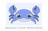 Neoplasia I: Tumor Nomenclature · 2020. 6. 24. · Tumor Nomenclature Lecture Objectives • Define neoplasia, and explain what makes a neoplastic cell different from a non-neoplastic