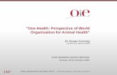 One Health: Perspective of World Organisation for Animal Health · 2020. 7. 30. · OIE Performance of Veterinary Services (PVS) Pathway ….voluntary assessments undertaken at the