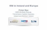 ESI in Ireland and Europeiiesi.org/assets/pdfs/iiesi_nov_slye.pdf · 2018. 4. 30. · European Energy Roadmap 2050 2010 2020 2030 2040 2050 19% 39% Energy Mix Heat & Transport Electricity