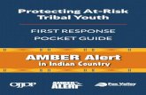 Protecting At-Risk Tribal YouthPROTECTING AT-RISK TRIBAL YOUTH This booklet is designed to help tribal communities determine when a child is at risk for developing problem behaviors