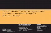Guideline for Management of the Clinical Stage 1 Renal Mass · Guideline for Management of the Clinical Stage 1 Renal Mass RenalMassClinicalPanelMembers: Andrew C. Novick, MD, Chair