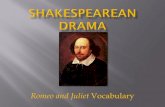 Romeo and Juliet Vocabulary...In Romeo and Juliet, when Mercutio is fatally wounded, he says, “Ask for me tomorrow, and you shall find me a grave man.” The pun is on the word grave,”