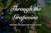Through the Grapevine - Foster School of Business...HARVESTING | PRESSING | FERMENTING | CLARIFYING |AGING | BOTTLING | TASTING Table 15 Sales of Still White Wine by Grape/Varietal