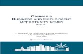 Denver Cannabis Business and Employment Opportunity Study...Marijuana Code governing medical marijuana businesses was not adopted by the state legislature until May 2010. In 2005,
