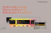 Introducing BlackBerry Mobile Fusion...BlackBerry® Mobile Fusion* is designed to help make managing mobile devices faster, easier and more organized than ever before. Now organizations
