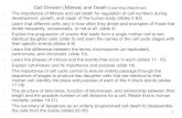 Cell Division (Mitosis) and Death (Learning Objectives)faculty.sdmiramar.edu/bhaidar/Bio 130/lectures/Cell...1 Cell Division (Mitosis) and Death (Learning Objectives) • The importance