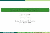Subgroup structure of branch groupsreh.math.uni-duesseldorf.de/~garrido/standrews13.pdf · 2013. 8. 3. · Alejandra Garrido (Oxford) Subgroup structure of branch groups St Andrews,