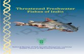 Threatened Freshwater Fishes of India · Among Asian countries, India possess the maximum number of endemic freshwater fin fish species (27.8%) followed by China, Indonesia and Myanmar.