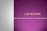 Mahendra Sakare and Prof. M. Shojaei Baghinismdp/smdp_IEP_GOA_lectures/lab ppt.pdf · Mahendra Sakare and Prof. M. Shojaei Baghini ` We will use ngspice simulator.