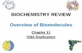BIOCHEMISTRY REVIEW Overview of Biomoleculesmed.fau.edu/students/md_m1_orientation/Chapter11.pdfAre You Getting It?? _____ _____Answer_____ Which characteristics will be part of semi-conservative