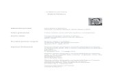 CURRICULUM VITAE - Comune di Spoleto...Gehard Demetz: Introjection MACRO Roma 2017 Jago: apparato circolatorio Montrasio Arte Milano 2017. Non sporcare il fiume. Thomas Lange Palazzo