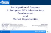 Participation of Gazprom in European NGV Infrastructure ...Participation of Gazprom in European NGV Infrastructure Development and Market Opportunities ... USA 930,2 112 000 1 035