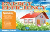 Spring/Summer EFFICIENCY Guide...to get the biggest bang for your buck. Elements of an. Energy-smart. Home. Smart thermostats have many features not found in older thermostats, such