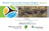 Brook Trout in the Toronto Region: Boyce’s...2020/06/02  · 2001 - 2012 - 38 sites - 3 watersheds (Humber, Rouge, Duffin’s) - Green Belt, ORM lands 2013 - 2016 - 19 sites - 3