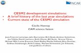 CESM2 development simulations: A brief history of the last ... · CAM science liaison. Jean-Francois Lamarque, Julio Bacmeister, Rich Neale A, ndrew Gettelman, ... Collaborative effort