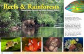Reefs & Rainforests - X-Ray Mag · 2018. 3. 5. · Malaysian Borneo’s landmass, small offshore islands and interna-tional waters intermingle with their Philippine counterparts in