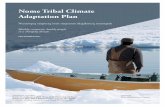 Nome Tribal Climate Adaptation Plan - Adapt Alaska€¦ · final planning document. Members of the steering committee are listed on page 2. Phase 1: Scoping. Ten tribal members from