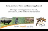 Soils, Moisture, Plants and Technology Project Strategic ... · Soils, Moisture, Plants and Technology Project Strategic farming practices for soil, catchments, water and climate