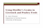 Using Distiller’s Grains in Livestock and Poultry Feeds...Phosphorus – high feeding levels leads to overfeeding P Swine Energy source equal to corn Poor amino acid balance Limiting