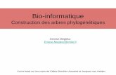Introduction à la bioinformatique Construction des arbres …pedagogix-tagc.univ-mrs.fr/courses/bioinfo_intro/BI4U2/... · 2015. 3. 26. · nNb Rooted trees Nb unrooted trees 2 1